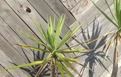 Imagem: A kitnet possui 1 Dormitório, 1 Banheiro, 18m² de Área e