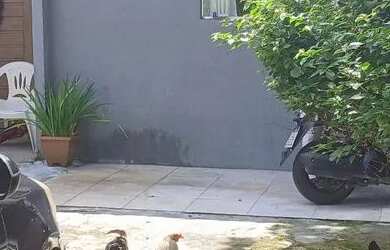 Imagem: A casa em condomínio possui 2 Dormitórios, 2 Banheiros, 5