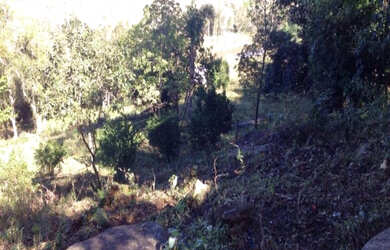 Imagem 10: Sítio Igrejinha 3 Ha Contendo uma casa de alvenaria por apenas R$500mil