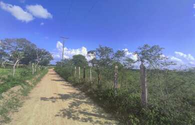 Imagem: A fazenda está localizado em Santanópolis, BA à venda por