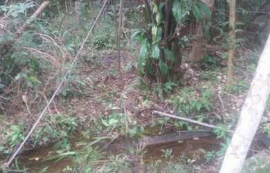 Imagem: A fazenda possui 35m² de Área e está localizado em Andaraí