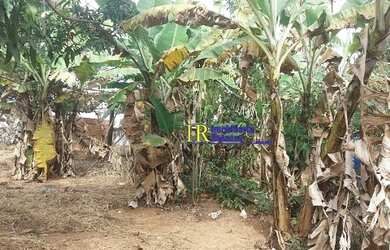 Imagem 10: TERRENO EM SAO JOAQUIM DE BICAS