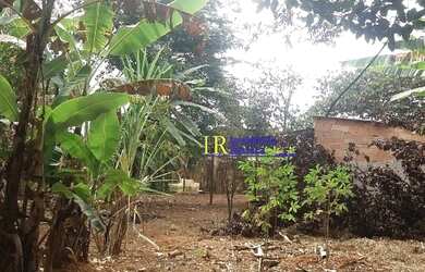Imagem 13: TERRENO EM SAO JOAQUIM DE BICAS