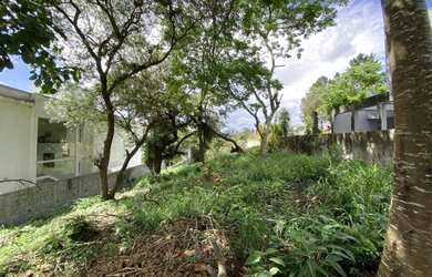 Imagem 3: CARAPICUÍBA - Terreno Padrao - CARAPICUIBA