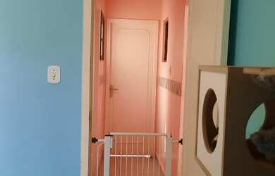 Imagem 9: Ponto nobre da Tijuca Em frente ao colégio militar