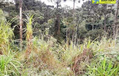 Imagem 9: Terreno à venda, 2400 m² por R$ 860.000,00 - Jardim Santa Paula - Cotia/SP