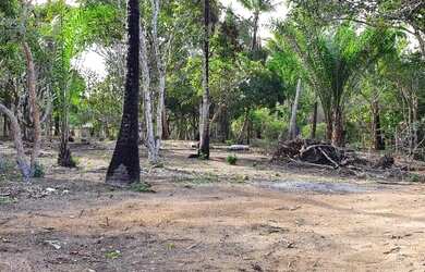 Imagem 4: Terreno para Venda em Porto Seguro, Caraiva