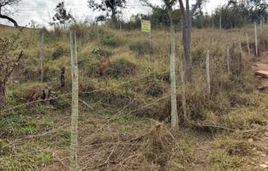 Imagem 2: Vendo lote em Betim ótimo preço