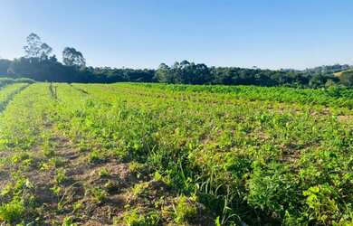Imagem 10: Lote/Terreno para venda com 999 metros quadrados em Veleiros de Ibiúna - Ibiúna - São Paul