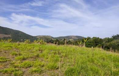 Imagem 2: Lote/Terreno para venda possui 5000 metros quadrados em santa luzia