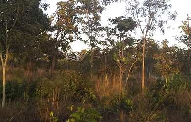 Imagem: O terreno está localizado em Setor Sul, Palmas à venda por