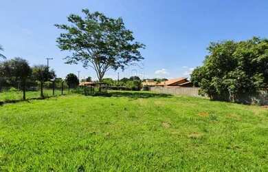 Imagem 2: Terreno Padrão em Guapiaçu