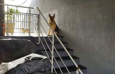 Imagem 11: Sobrado. Varanda, Área de serviço, 160m² de Áreae1 Vaga na garagem