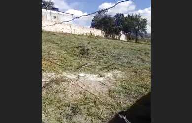 Imagem 3: Lote são Joaquim de bicas