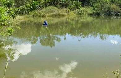 Imagem 14: FAZENDA A VENDA À APENAS 5 KM DO EMPÓRIO CASARÃO BR 060 Fazenda à...