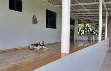 Imagem 4: Sitio Santa Lúcia 7,13 Alq por R$ 1.250.000,00