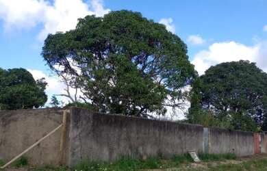 Imagem 6: Vendo Terreno em Araruama