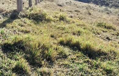 Imagem 3: Vende se um terreno no pouso alegre