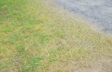 Imagem 12: Vende se casa. Na praia de itapiruba boa vista Imbituba SC