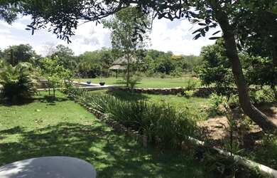 Imagem 9: Fazenda 42 alqueires. 42m² de Área Privada