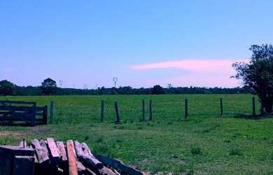 Imagem: A fazenda e está localizado em Pimenta Bueno, RO à venda por