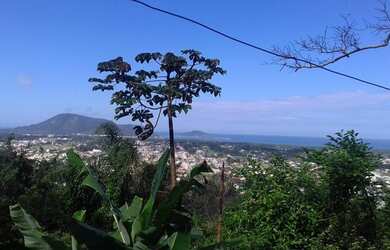 Imagem: A casa possui 3 Dormitórios, 3 Banheiros, 2 Vagas na garagem