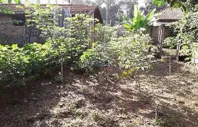 Imagem 5: Terreno - Água Vermelha. 1m² de Área