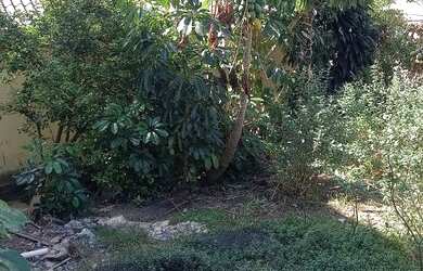 Imagem 6: Lote/Terreno para venda, 462 m2 no Jaguaré - São Paulo - São Paulo