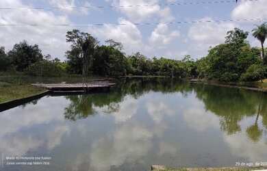 Imagem 2: R$8 milhões fazenda desativada com 216 alqueires 70 aberta