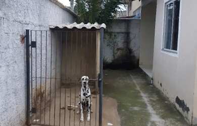 Imagem 12: Vendo linda casa com piscina
