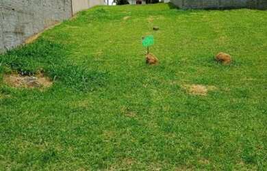 Imagem 8: TERRENO EM CONDOMÍNIO - CONDOMÍNIO PORTAL DO JEQUITIBA - SP