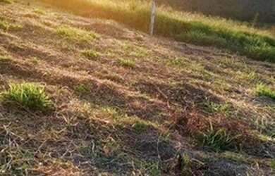 Imagem 12: Lote/Terreno para venda com 600 metros quadrados em Centro - Nazaré Paulista...