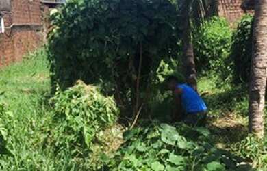 Imagem: O terreno está localizado em Janga, Paulista à venda por R$35.000