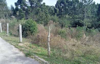 Imagem: O terreno possui 1.400m² de Área e está localizado em Eucaliptos