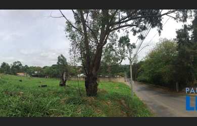 Imagem 8: TERRENO - COUNTRY CLUB - SP