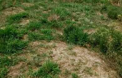 Imagem: A chácara possui 24.000m² de Área e está localizado em