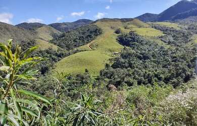Imagem 4: Fazenda 273hectares