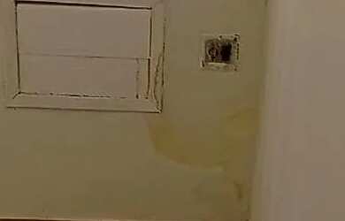 Imagem 6: Alugo Casa com 1 dormitório