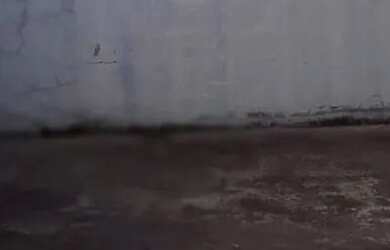 Imagem 10: APARTAMENTO BAIRRO CASTELO