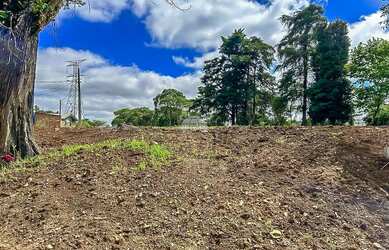 Imagem: Vendas Terreno Almirante Tamandaré PR