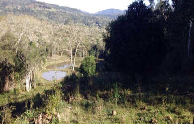 Imagem 11: Sítio Igrejinha 3 Ha Contendo uma casa de alvenaria por apenas R$500mil