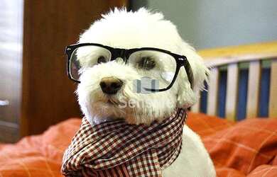 Imagem 16: ÁREA PRIVATIVA- YSA RESIDÊNCIAL