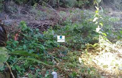 Imagem: A fazenda possui 6.626.100m² de Área e está localizado em