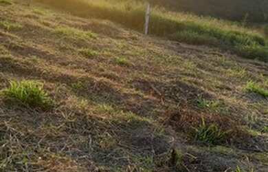 Imagem 15: Lote/Terreno para venda tem 1000 metros quadrados em Jardim Tapajós -...