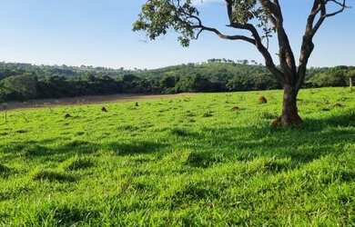 Imagem: O terreno possui 20.000m² de Área e está localizado em Centro
