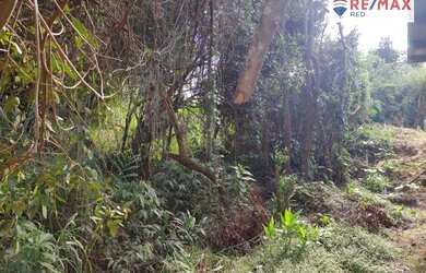 Imagem 2: Terreno à venda, 412 m² por R$ 450.000 - Granja das Hortências - Conselheiro...