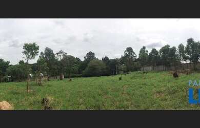 Imagem 9: TERRENO - COUNTRY CLUB - SP