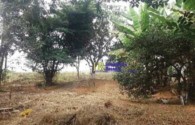 Imagem 14: TERRENO EM SAO JOAQUIM DE BICAS