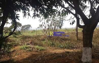 Imagem 16: TERRENO EM SAO JOAQUIM DE BICAS