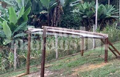 Imagem 3: JUQUITIBA - Casa Padrão - Palestina